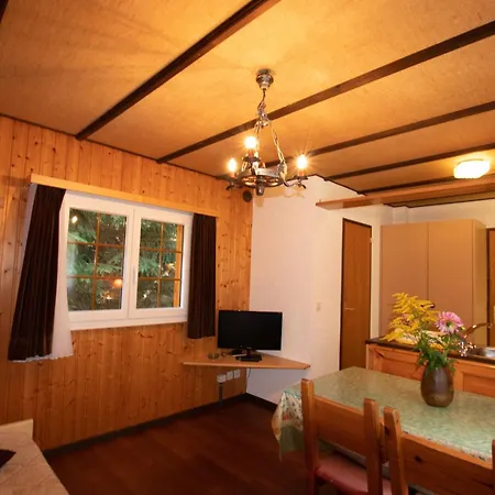 Residenz Edelweiss Saas310 *