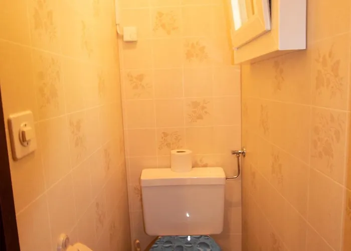 Дом отдыха Residenz Edelweiss Saas310