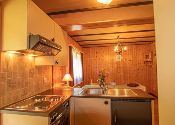 Дом отдыха Residenz Edelweiss Saas310 *