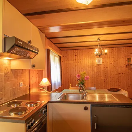 بيت للعطل Residenz Edelweiss Saas310 *